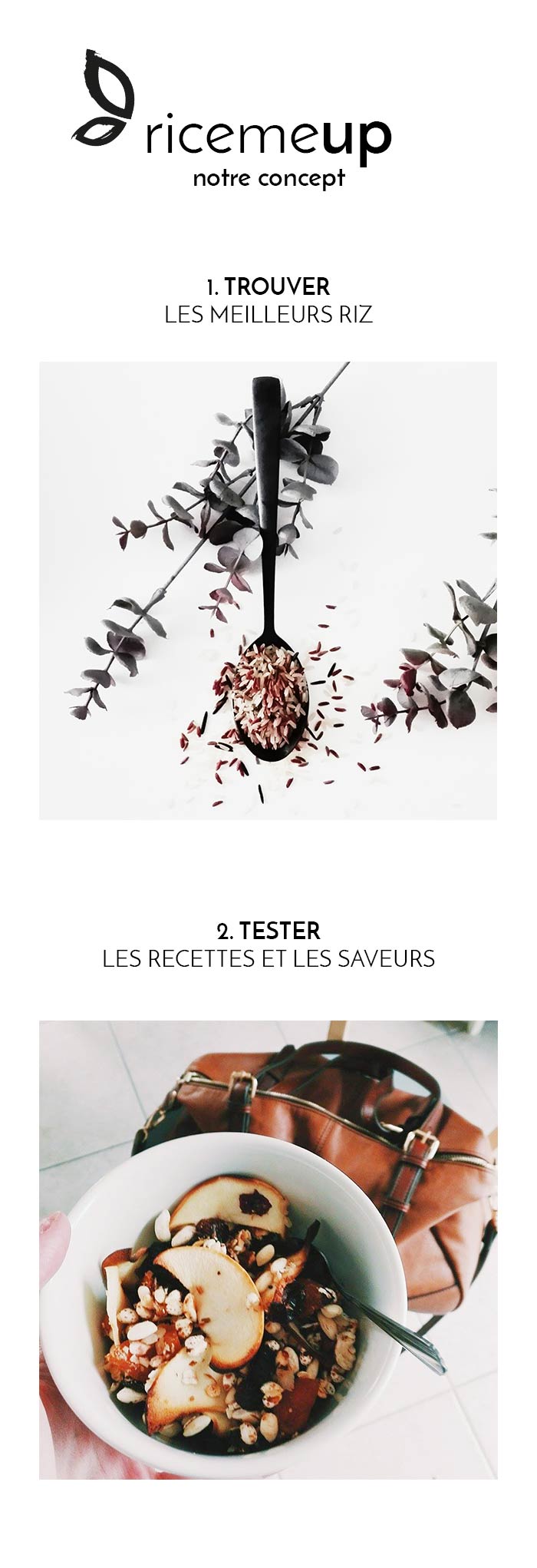 notre-concept-ricemeup