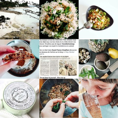 bestnine_instagram_ricemeup